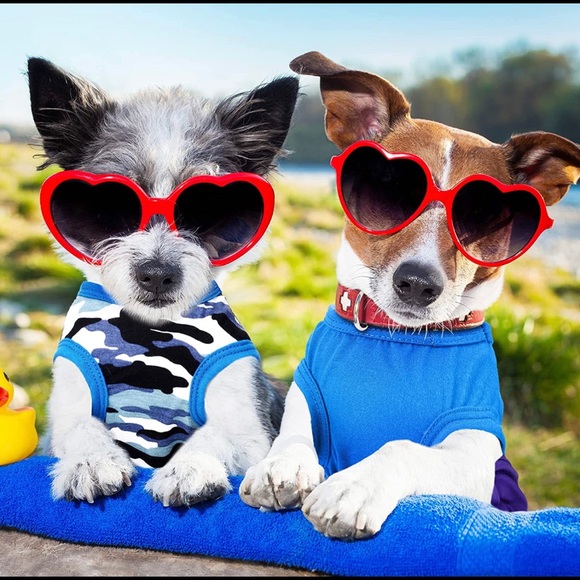 4 Piece Solid And Camouflage Dog Clothes Small - Picture 2 of 10